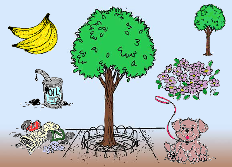 Tree Choices